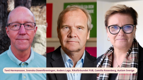 Tord Hermansson, Svenska Downföreningen, Anders Lago, Riksförbundet FUB, Camilla Rosenberg, Autism Sverige