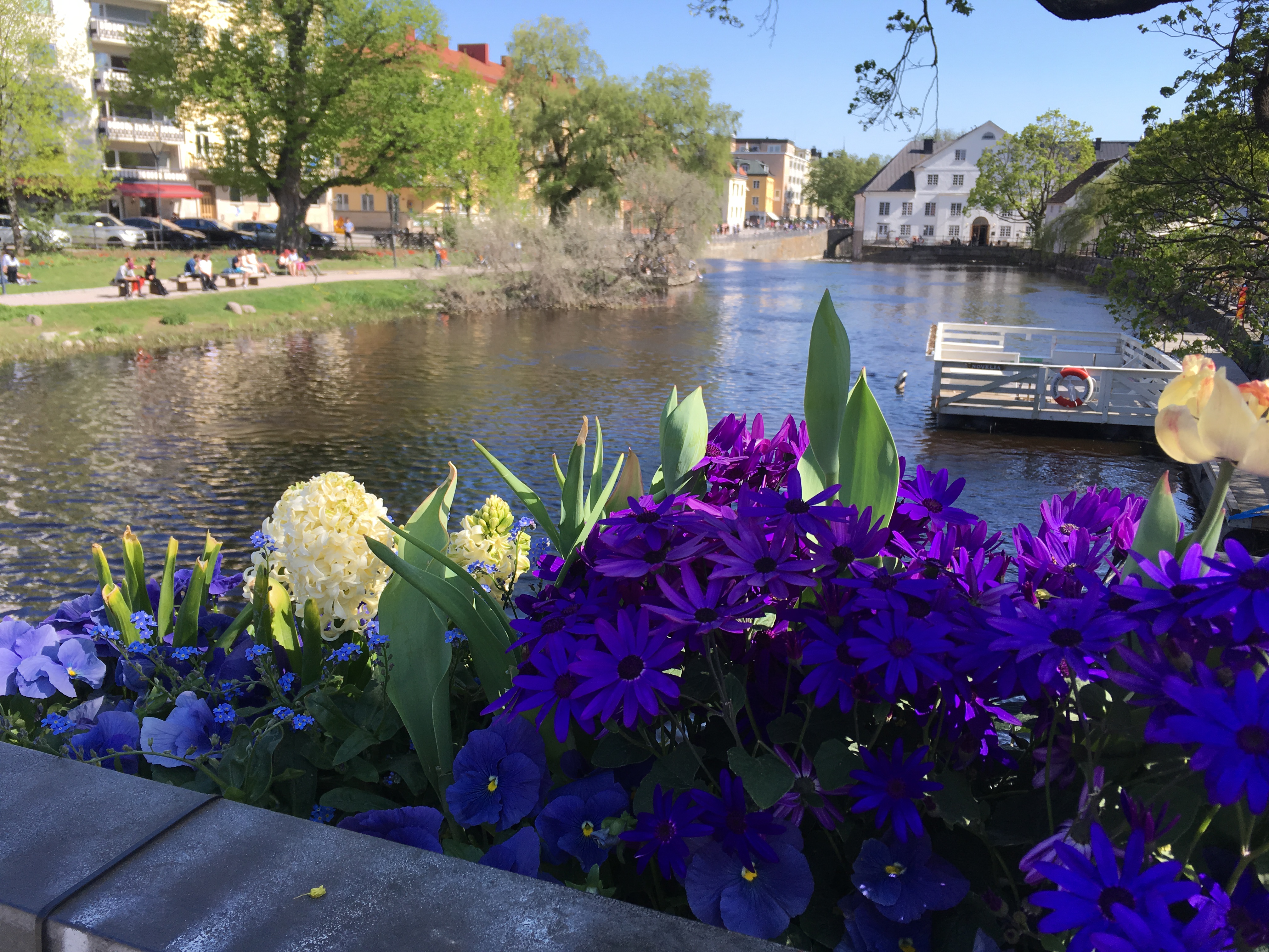 Fyrisån i Uppsala