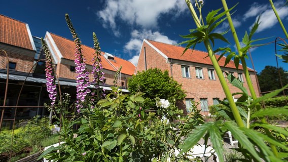 Lödöse museum