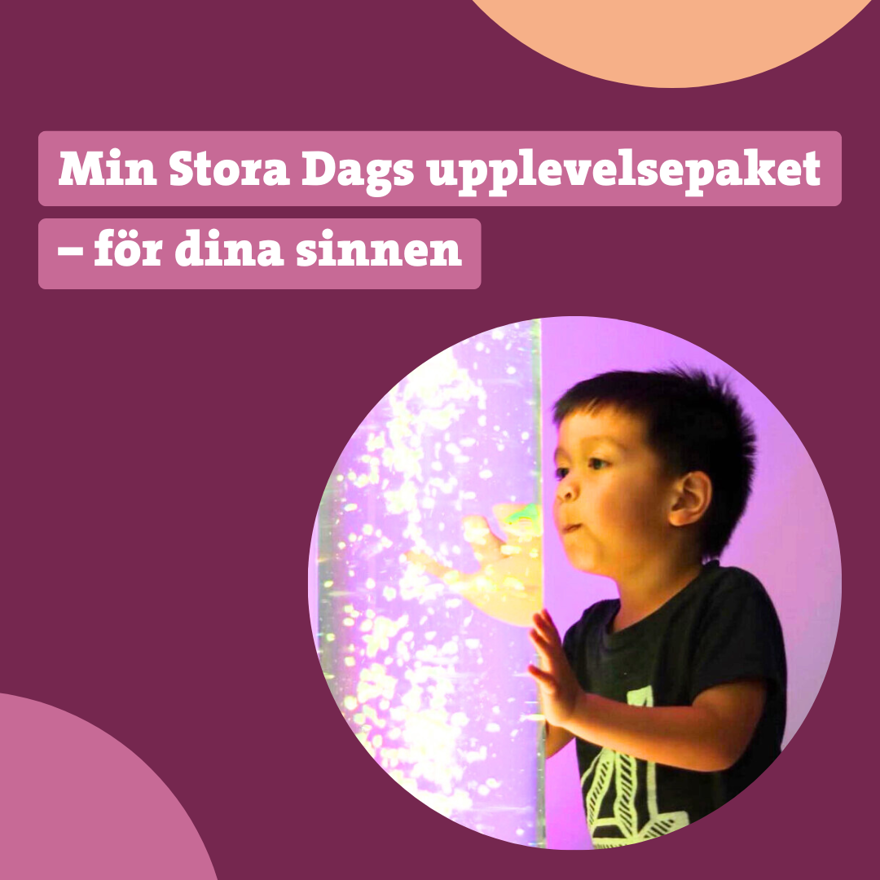 Bild med texten: Min Stora Dags upplevelsepaket - för dina sinnen