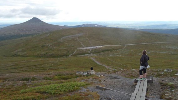 Utsikt i Dalarnas fjällvärld.